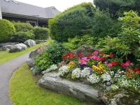 Commodores Inn