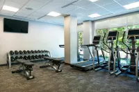 Fairfield Inn & Suites North Bay - Gym