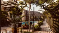 Arp Dalyan - piscine