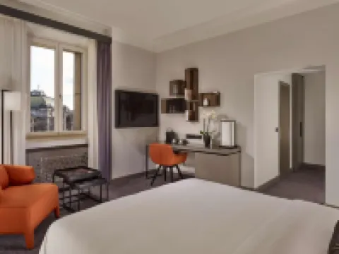 紐倫堡麗亭酒店 中弗蘭肯行政區酒店