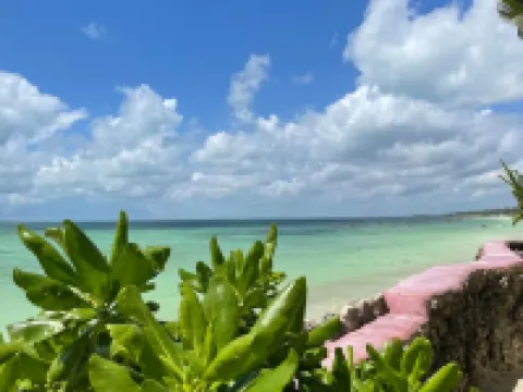 Palumboreef Beach Resort Hotels in Uroa