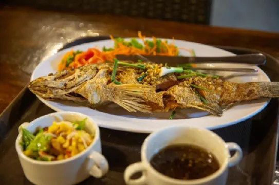 Rock and Tree House Resort