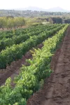 Casa Rural Magnanimvs - con vistas a la montaña