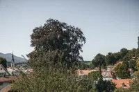 Suiten Zantl