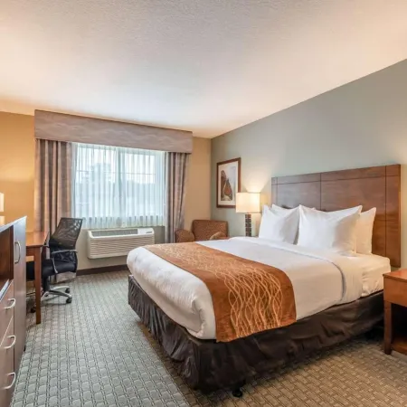 Comfort Inn & Suites