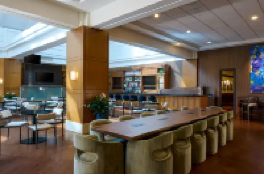 デトロイト マリオット トロイ