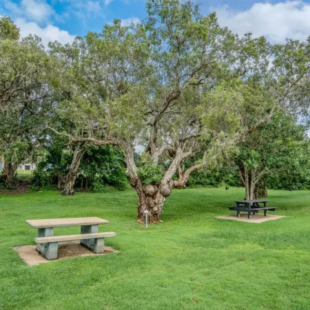 Tasman Holiday Parks - Fisherman's Beach