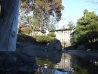Hotel Uguisu - balneario