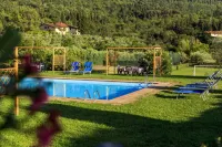 Agriturismo Fattoria di Sommaia - Yüzme Havuzu