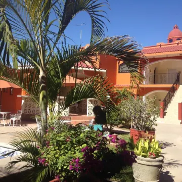 Hotel Oasis