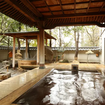 Hotel Saginoyu