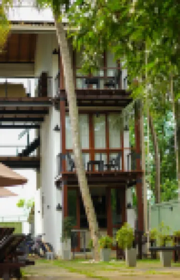 Elephant Trail Hotels in 