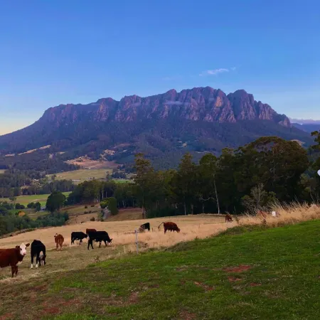 Manna Hill Farm