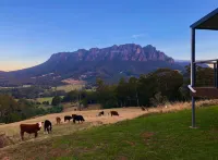 Manna Hill Farm - Mountain view