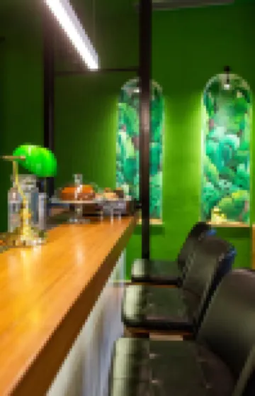 The Frogs_Guest House