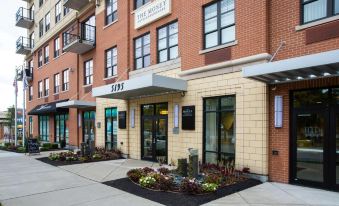 The Mosey Buffalo Williamsville, Tapestry Collection by Hilton