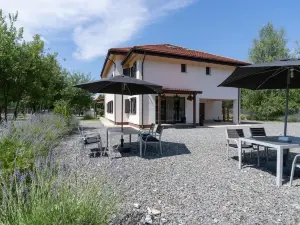Pensiunea Negoiu