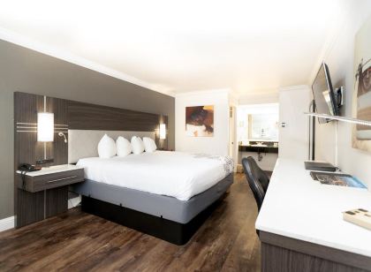 Rodeway Inn San Jose Hwy-101 Tully Rd Exit