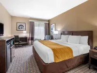Comfort Inn & Suites Hotels in Cincinnati