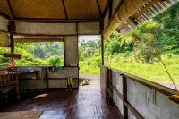 The Forest Elephant - Formerly Known As the Flying Elephant - Homestays