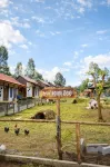 Maza Lodge & Spa