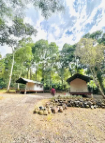Banyu Pinus Camper Park サリ アテル温泉周辺のホテル