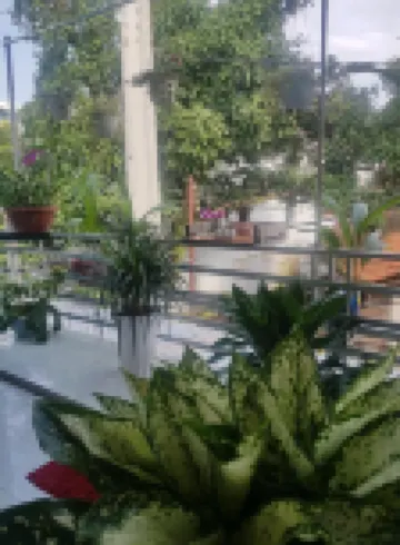 Tai Tri Guest House