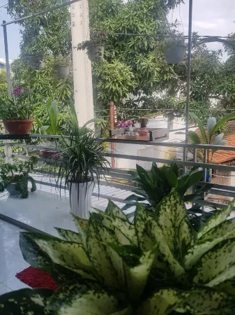 Tai Tri Guest House
