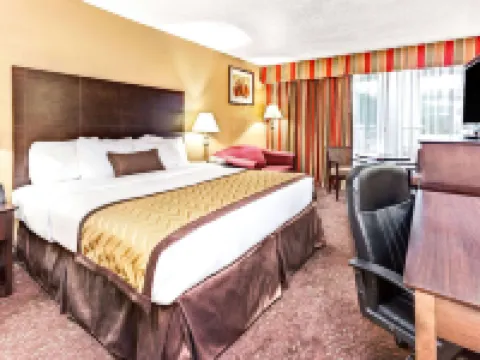 Wyndham Garden Romulus Detroit Metro Airport Hotels in Romulus