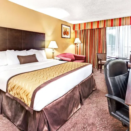Wyndham Garden Romulus Detroit Metro Airport Отели в г. Ромул