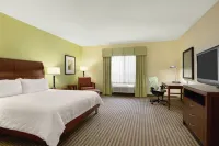 Hilton Garden Inn Houston/Clear Lake NASA Hotels in Webster