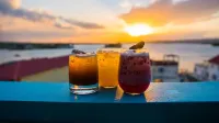 Hotel Isla de Flores - Barer