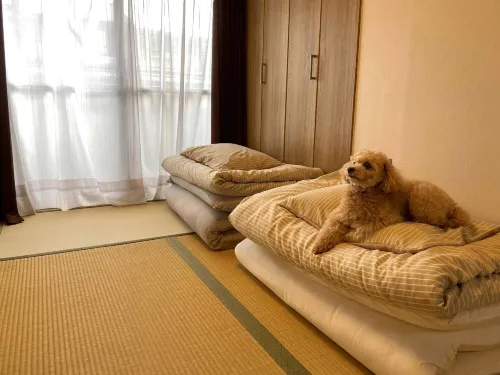 Kyoto-Gion Tourist House - acceptant les animaux