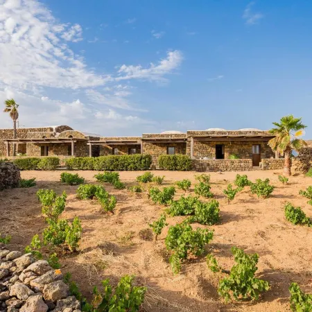 Abraxas Vigne di Pantelleria - Tenuta Bukkuram