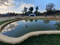 Tijan Siwa Resort - parcheggio