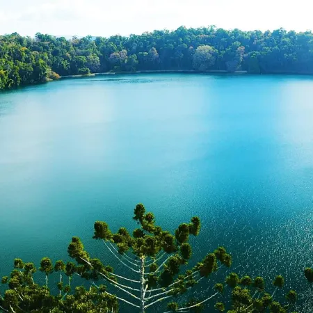 Chambers Wildlife Rainforest Lodges Отели в г. Маланда