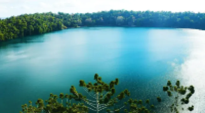 Chambers Wildlife Rainforest Lodges