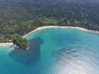 Beachfront Apartment Punta Uva Hotels in Punta Uva