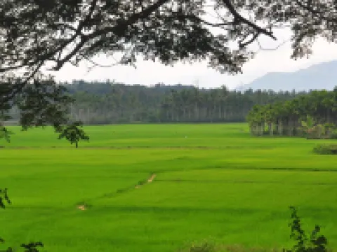 Century Grand Hotel Hotels in Mananthavady