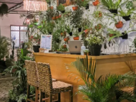 伊真火山小睡旅館 外南夢區住宿飯店