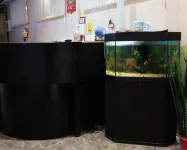 Afalina Hotels in Lazarevskoye