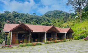 Tree Trek Boquete Adventure Park