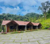 樹徑博克特探險公園