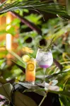 Pavilion On Northbourne - Quầy bar