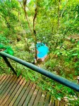 Khao Sok Tree House Resort - Uima-altaat