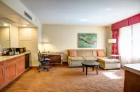 Hilton Garden Inn Tampa Ybor Historic District Hôtels à : Tampa