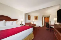 Wingate by Wyndham Vienna/Parkersburg/Marietta Hotel di 