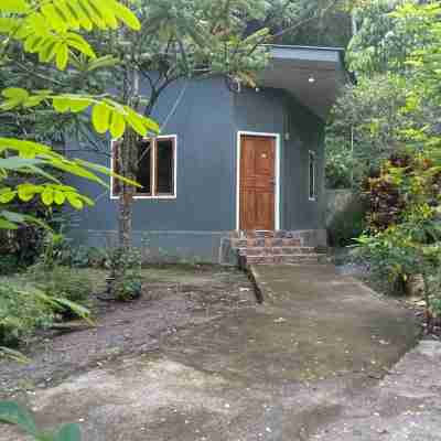 Tangkoko Ranger Homestay Hotel Exterior