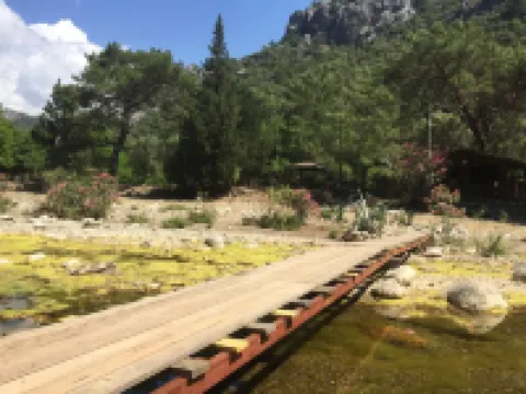 Canario Bungalows