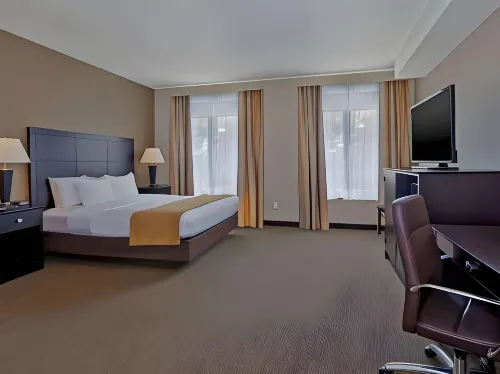 Comfort Inn Whitehall Near Michigan's Adventure Hotel a White River Township